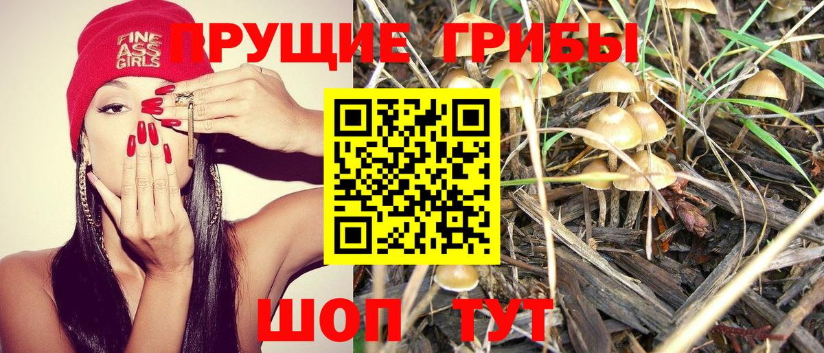 Псилоцибиновые грибы GOLDEN TEACHER  Псилоцибиновые грибы Psilocybe  Вход с VPN  Троицк 