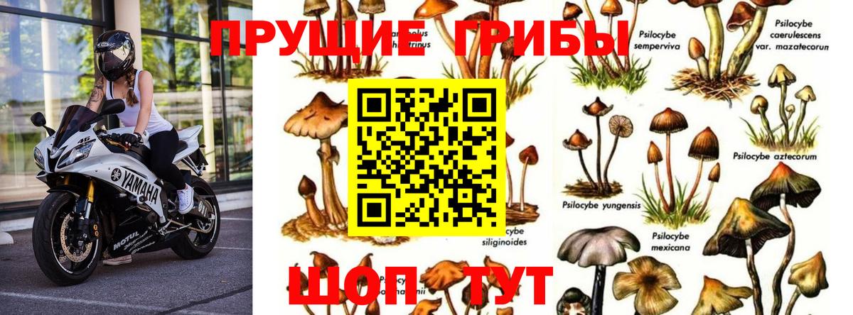Псилоцибиновые грибы Magic Shrooms Троицк